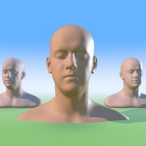 Face model in the Chroma Space lighting scene